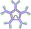 IgM monomer