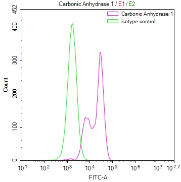 CSB-RA217389A0HU