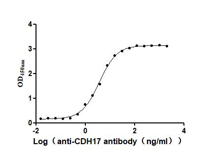 CSB-RA613267MA1HU ELISA