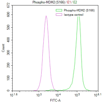 CSB-RA980583A0HU