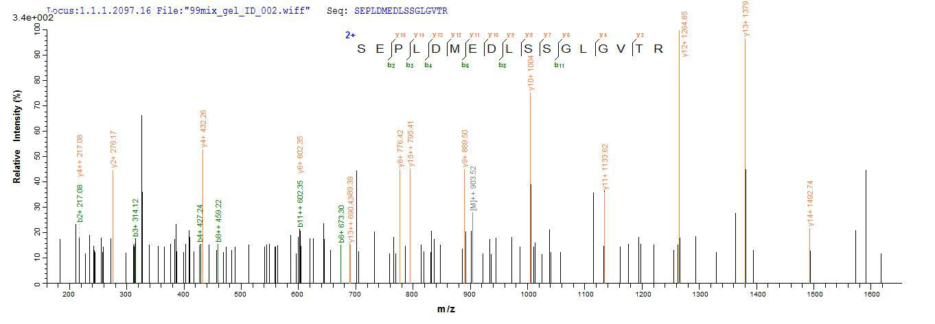 CSB-BP001262HU1 LCMS-1