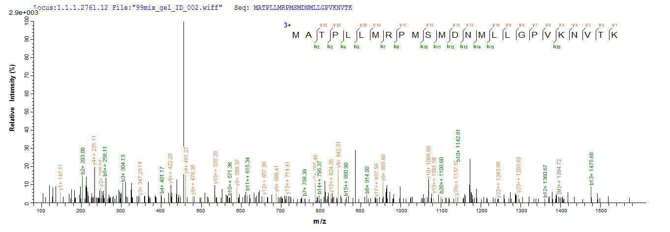 CSB-BP001262HU1 LCMS-2