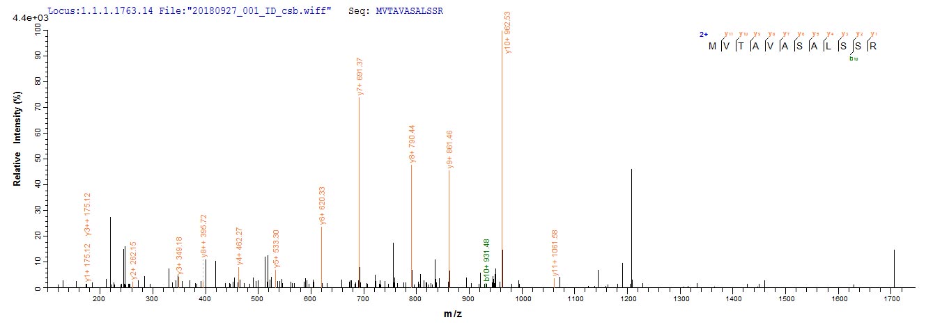 CSB-EP010155HU LC-MS-2