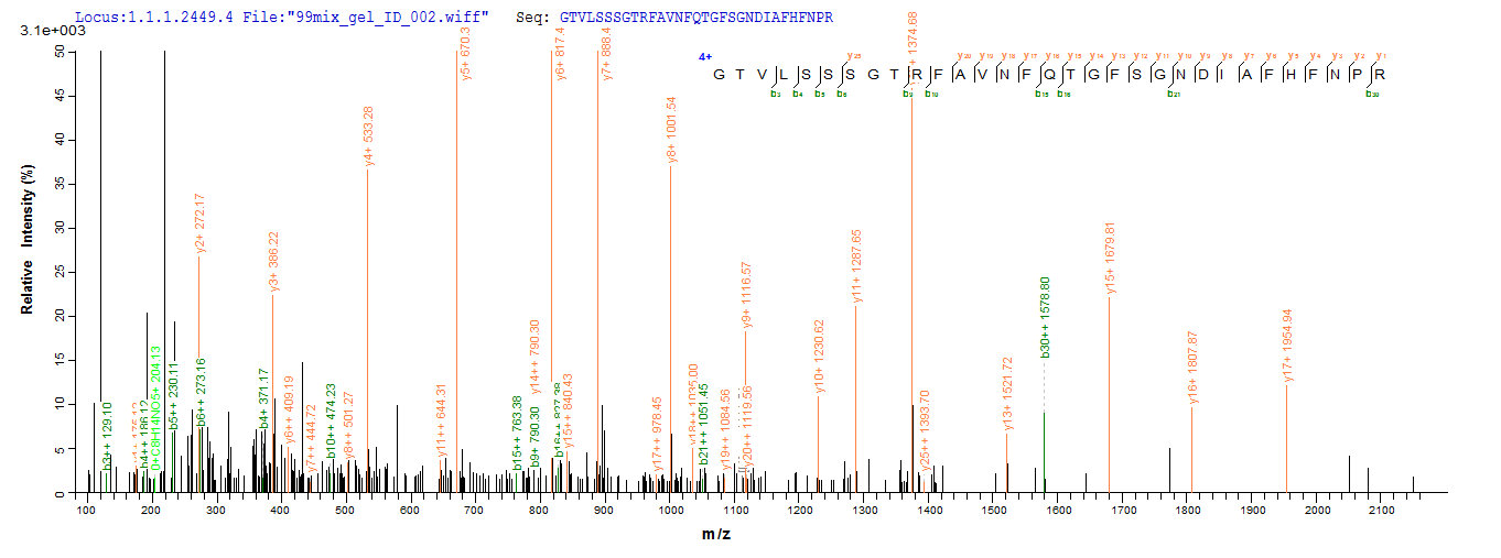 CSB-EP012895HU IHC-1