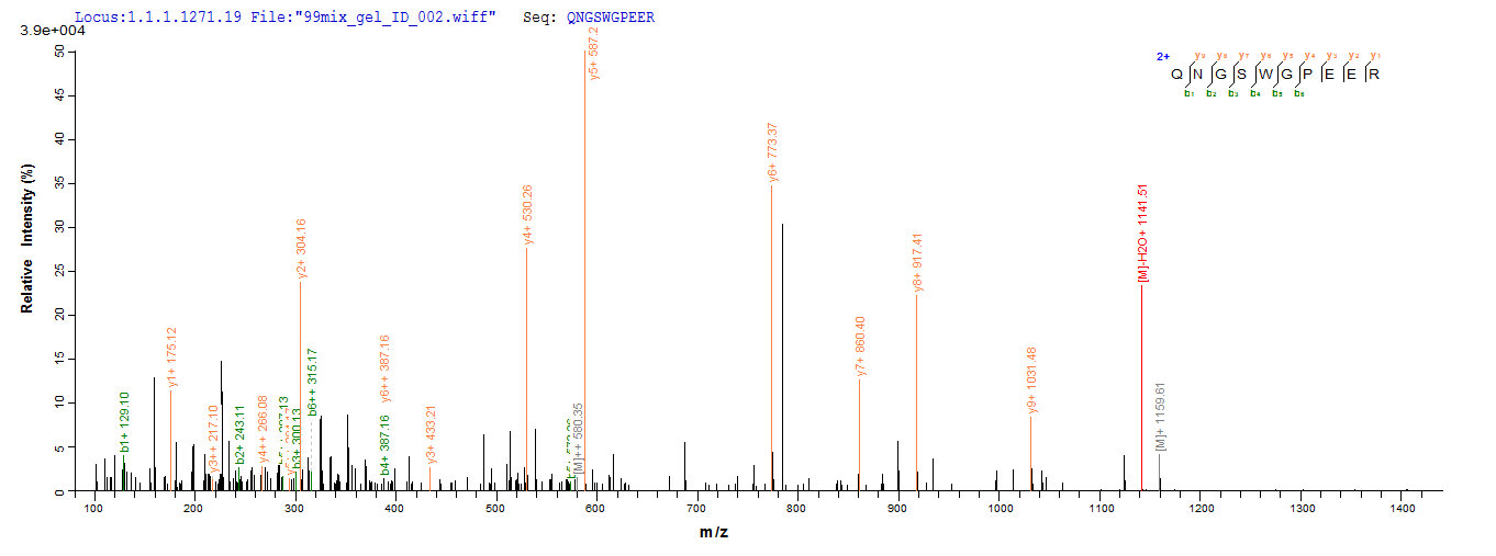 CSB-EP012895HU IHC-2