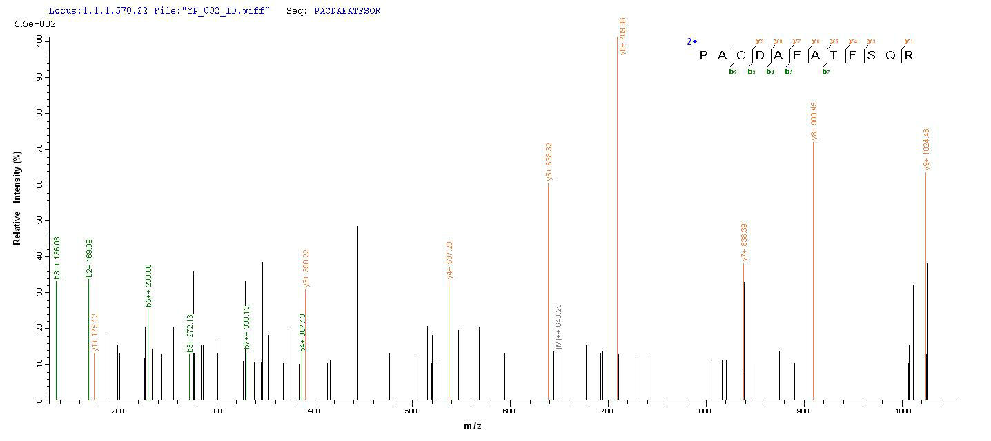 CSB-EP017315HUb3 LCMS-1