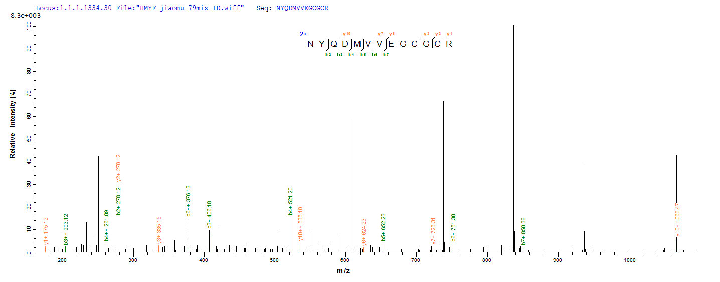 CSB-EP002736HU