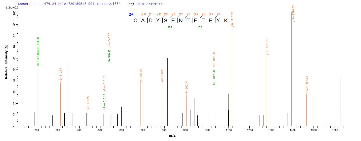 CSB-YP009306HU