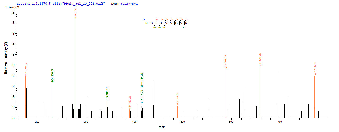 CSB-YP015535HU LC-MS-1