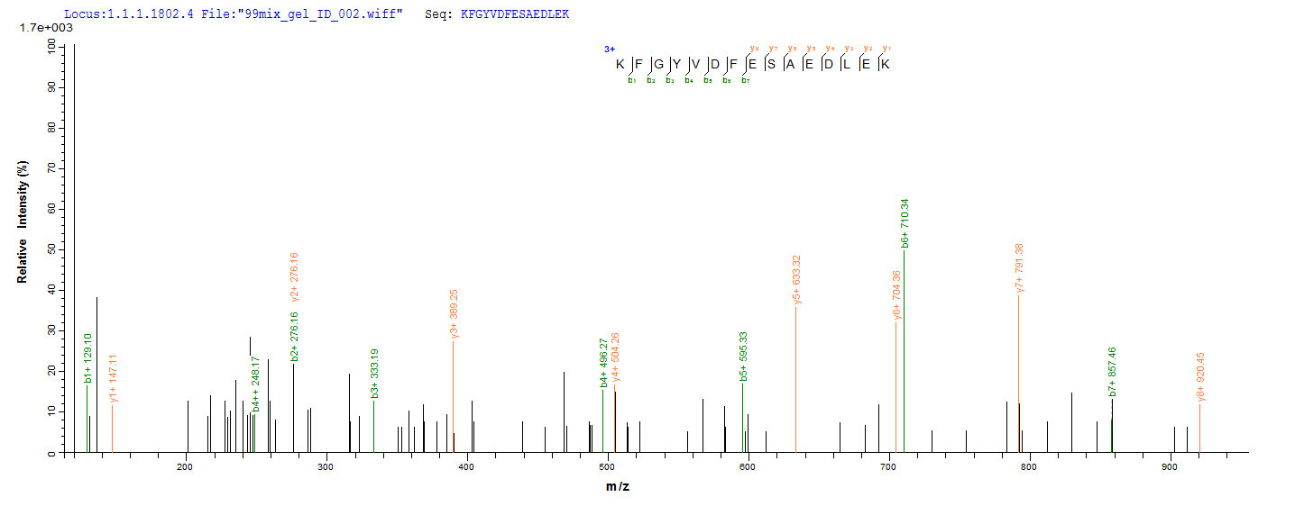 CSB-YP015535HU LC-MS-2