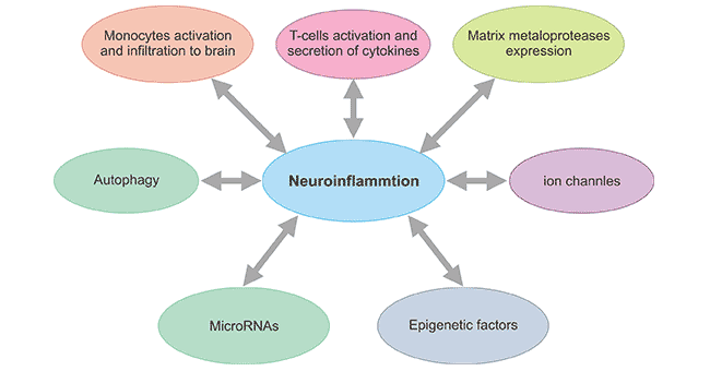影响神经炎症的新兴概念