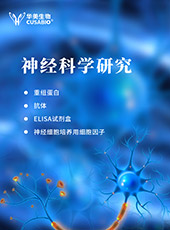 神经科学研究